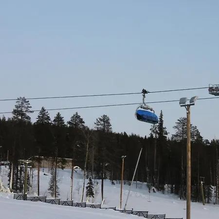 Aurinko Levi